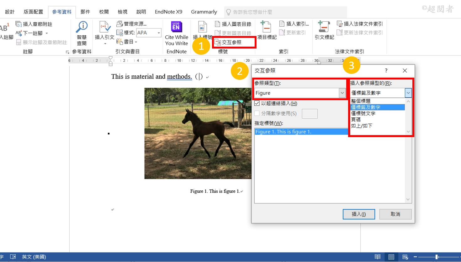【Word 論文排版】(五)圖表目錄、標號與交互參照 | 超閱者