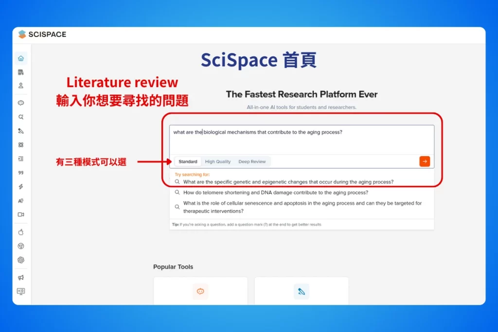 SciSpace_literature review