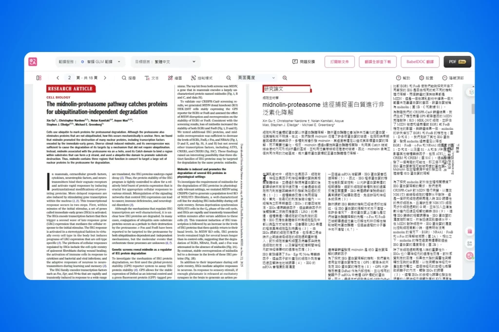 沉浸式翻譯:閱讀外文必備!雙語對照的 AI 翻譯工具 11 沉浸式翻譯 Immersive Translate_ PDF_EPUB 文件翻譯