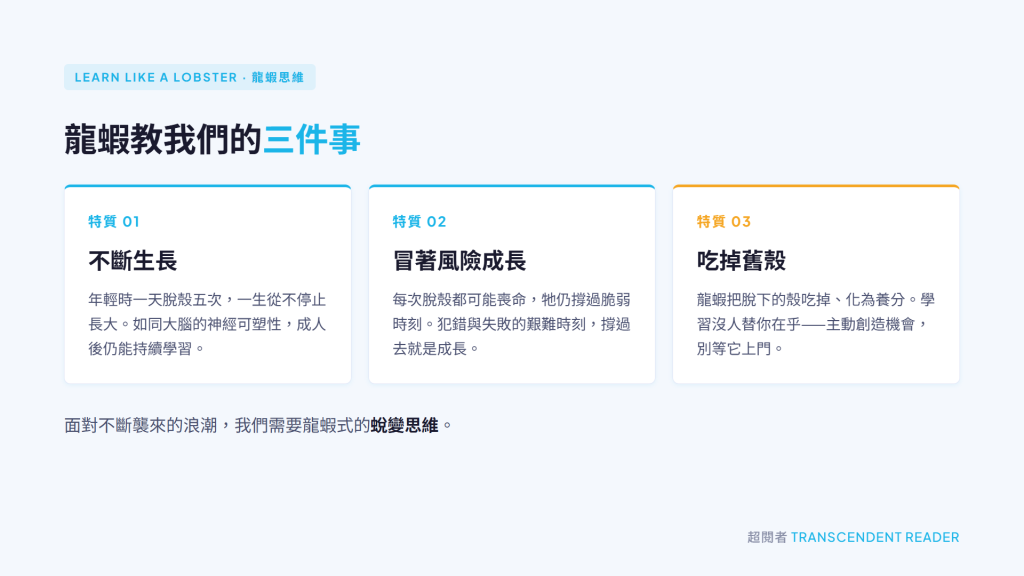 《龍蝦思維》心得:在不斷變動的時代,成為一個龍蝦式學習者吧! 2 龍蝦思維的三個特質:不斷生長、冒著風險成長、吃掉舊殼化為養分