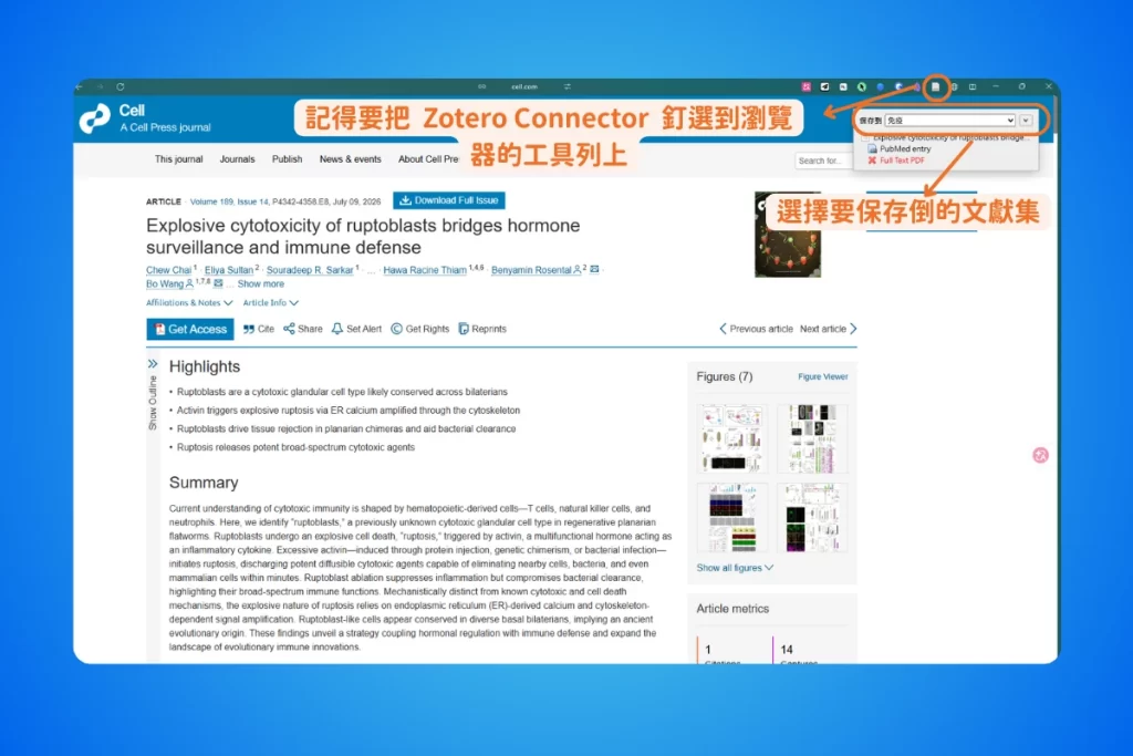 【2026 最新】Zotero 教學完整指南:從入門到 AI 進階,一篇搞定文獻管理 6 在 Cell 期刊網頁上點擊瀏覽器工具列的 Zotero Connector 圖示,跳出的小視窗可以選擇要把這篇論文保存到哪一個文獻集