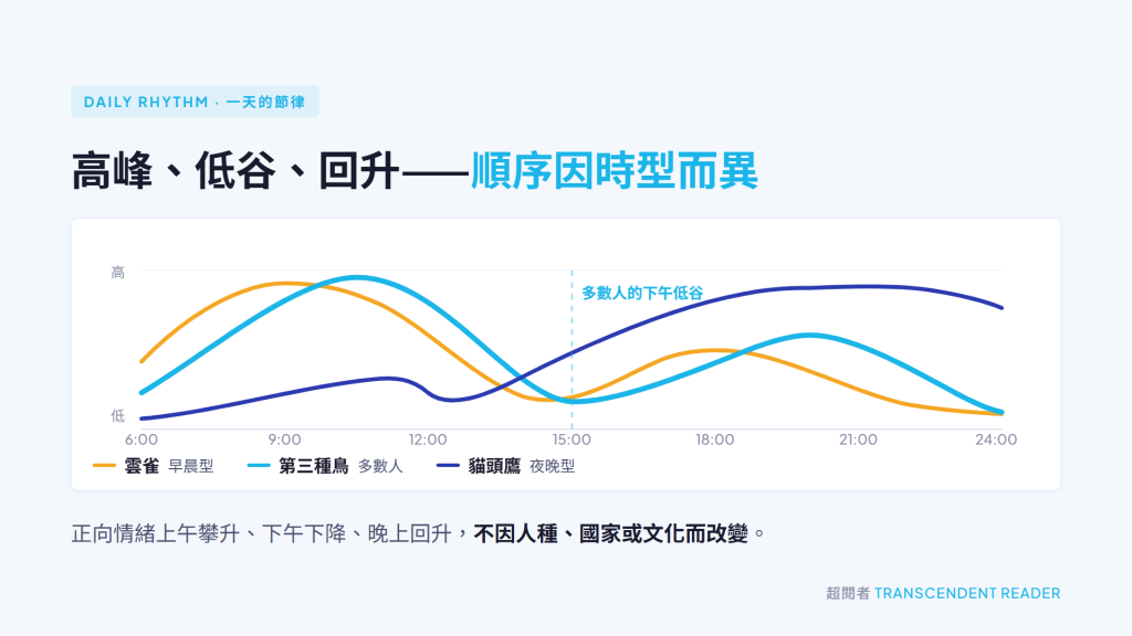 《什麼時候是好時候》讀後心得:萬事萬物都有其適合的時機 3 雲雀、第三種鳥與貓頭鷹一天之中的精力曲線比較,高峰、低谷與回升出現的時間各自錯開